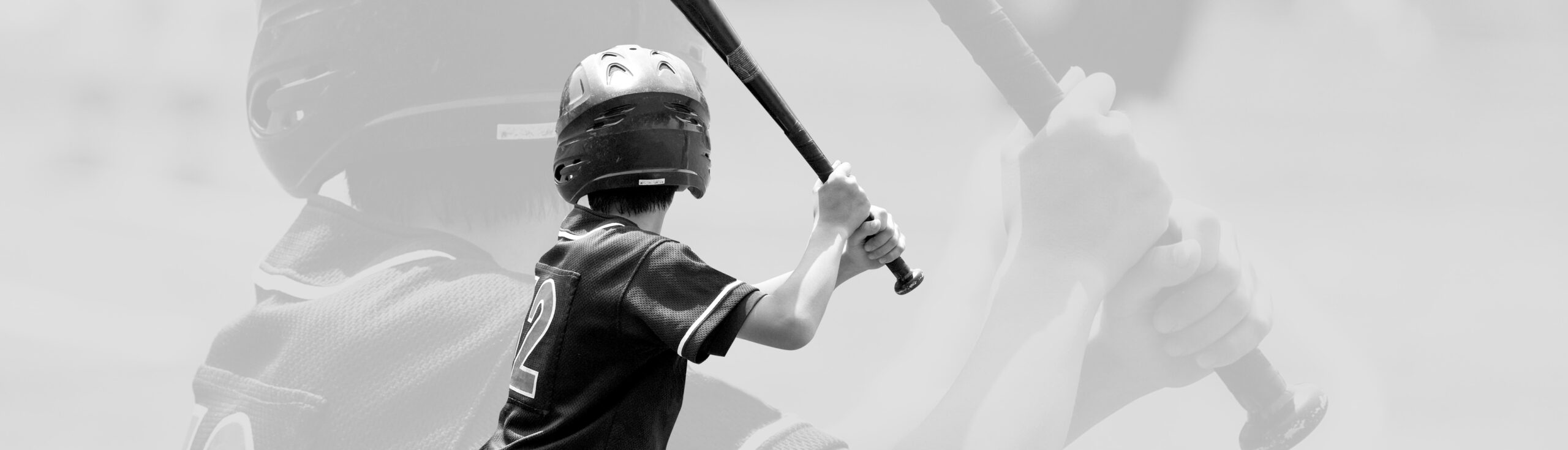 League Schedules Banner